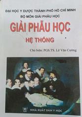 Giải phẫu học hệ thống