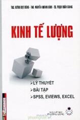 Kinh tế lượng