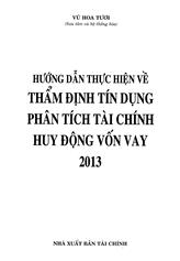Hướng dẫn thực hiện về thẩm định tín dụng phân tích tài chính huy động vốn vay 2013