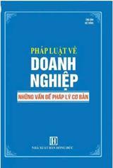 Pháp luật về doanh nghiệp : Những vấn đề pháp lý cơ bản