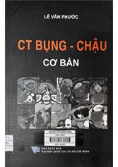 CT bụng - chậu cơ bản