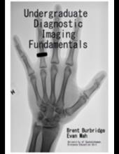 Undergraduate Diagnostic Imaging Fundamentals