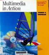 Multimedia in action