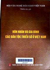 Hôn nhân và gia đình các dân tộc thiểu số ở Việt Nam