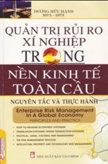 Quản trị rủi ro xí nghiệp trong nền kinh tế toàn cầu, nguyên tắc và thực hành