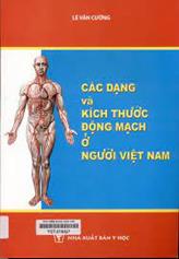 Các dạng và kích thước động mạch ở người Việt Nam