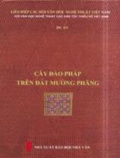 Cây đào Pháp trên đất Mường Phăng