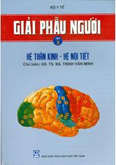 Giải phẫu người, tập 3: Hệ thần kinh - hệ nội tiết