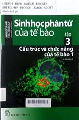 Sinh học phân tử của tế bào, tập 3