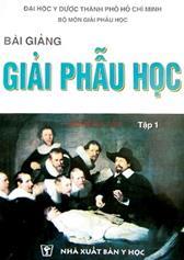 Bài giảng Giải phẫu học /