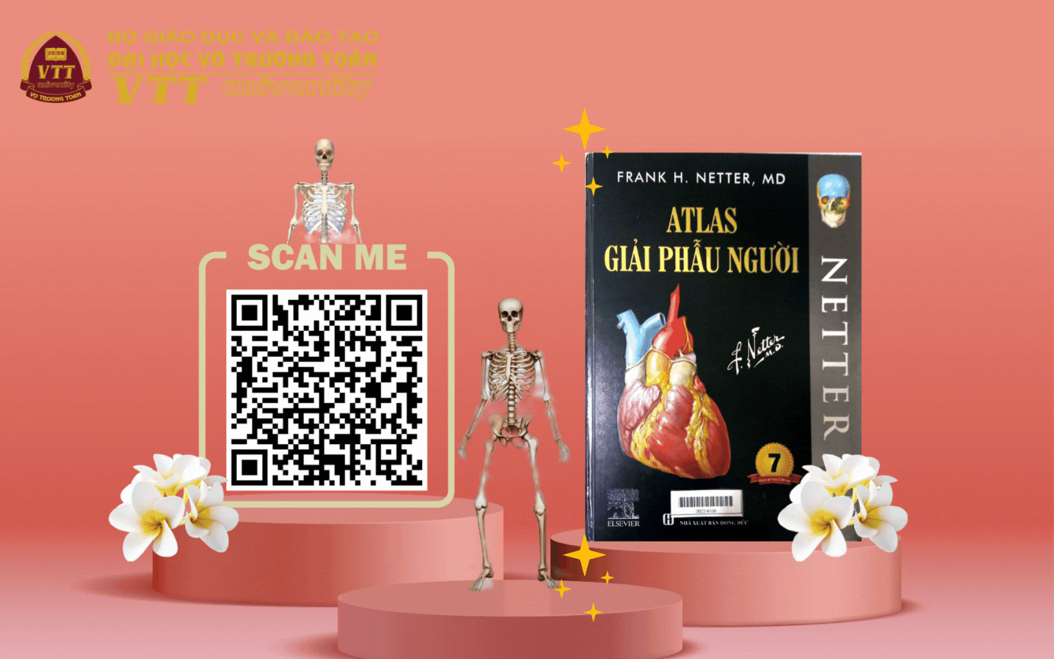 🧠 Atlas Giải phẫu người – Bản đồ chi tiết của cơ thể người dành cho sinh viên Y khoa