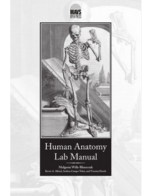 Human Anatomy Lab Manual