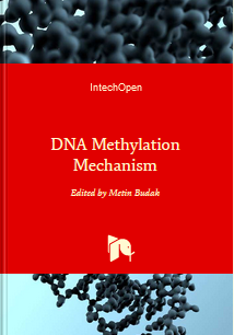 DNA Methylation Mechanism
