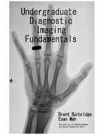 Undergraduate Diagnostic Imaging Fundamentals